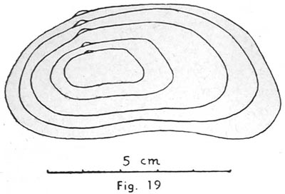 specimen image from publication
