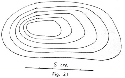 specimen image from publication