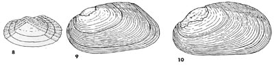 specimen image from publication