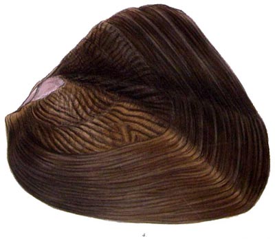 specimen image from publication