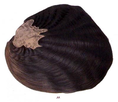 specimen image from publication