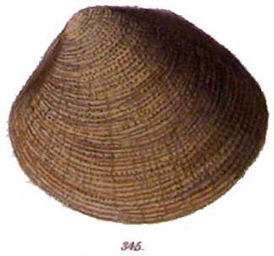 specimen image from publication