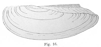specimen image from publication