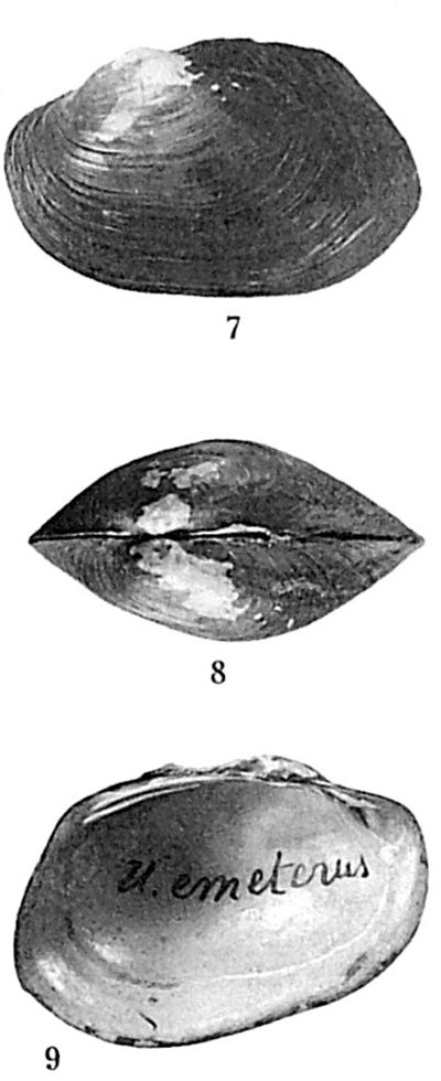 specimen image from publication