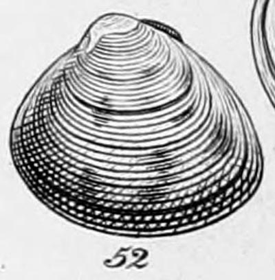 specimen image from publication