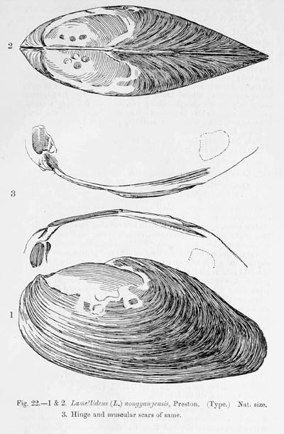 specimen image from publication