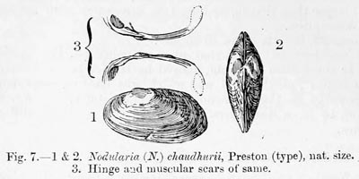 specimen image from publication
