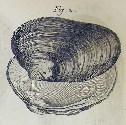 specimen image from publication