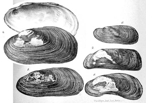 specimen image from publication