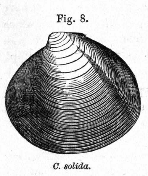 specimen image from publication
