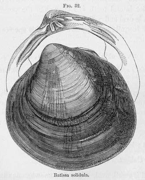 specimen image from publication