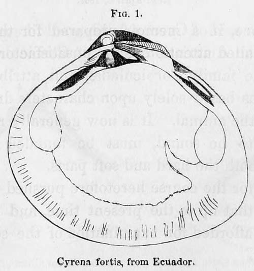 specimen image from publication