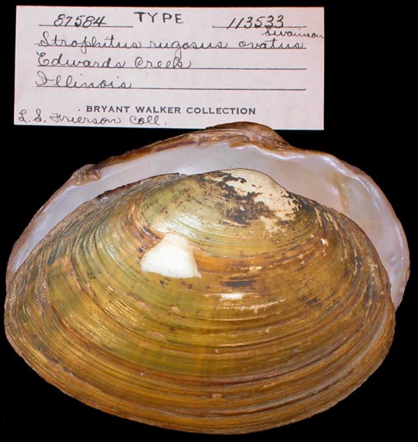 image of type lot image of type lot