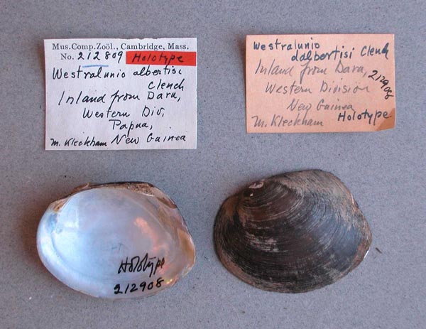 image of lot MCZ_212908