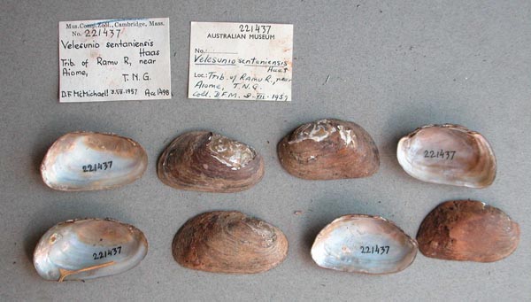 image of lot MCZ_221437