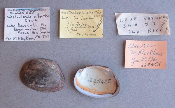 image of lot MCZ_225655