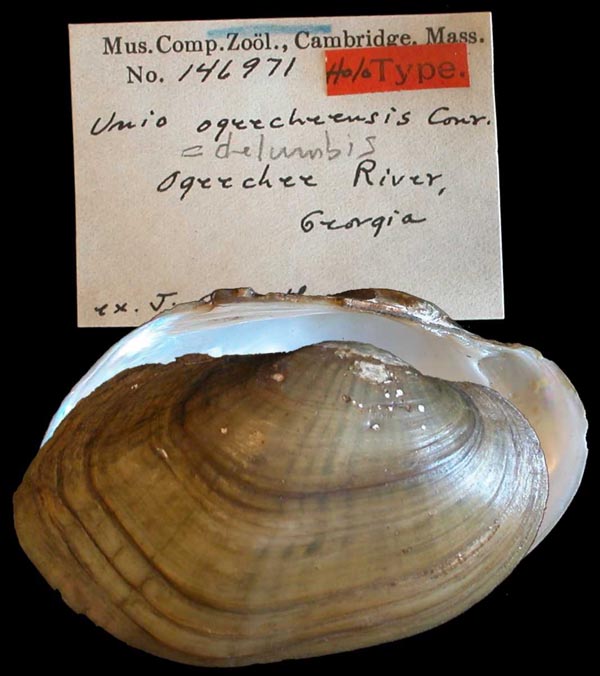 image of type lot image of type lot