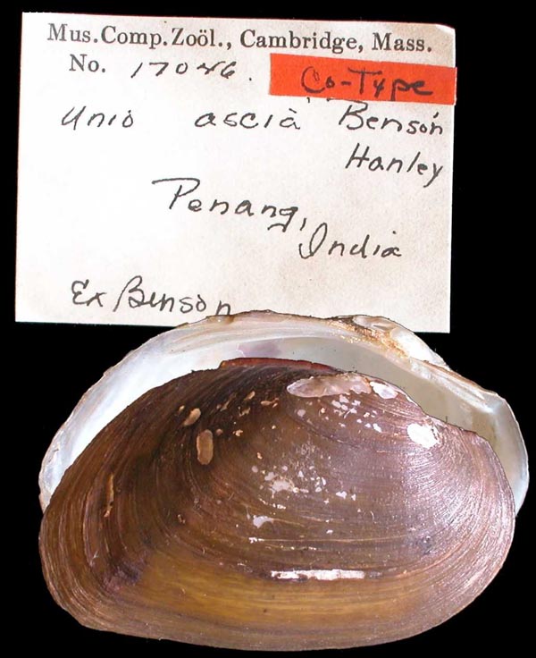 image of type lot image of type lot