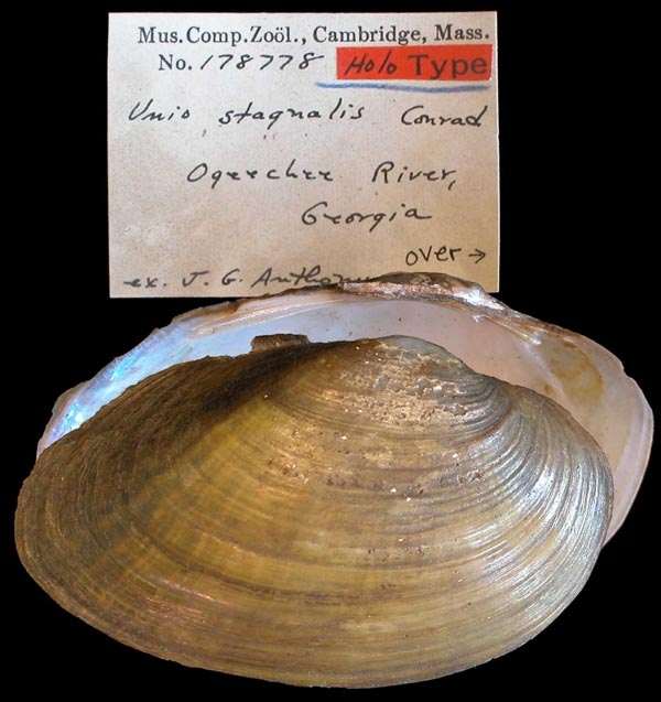 image of type lot image of type lot