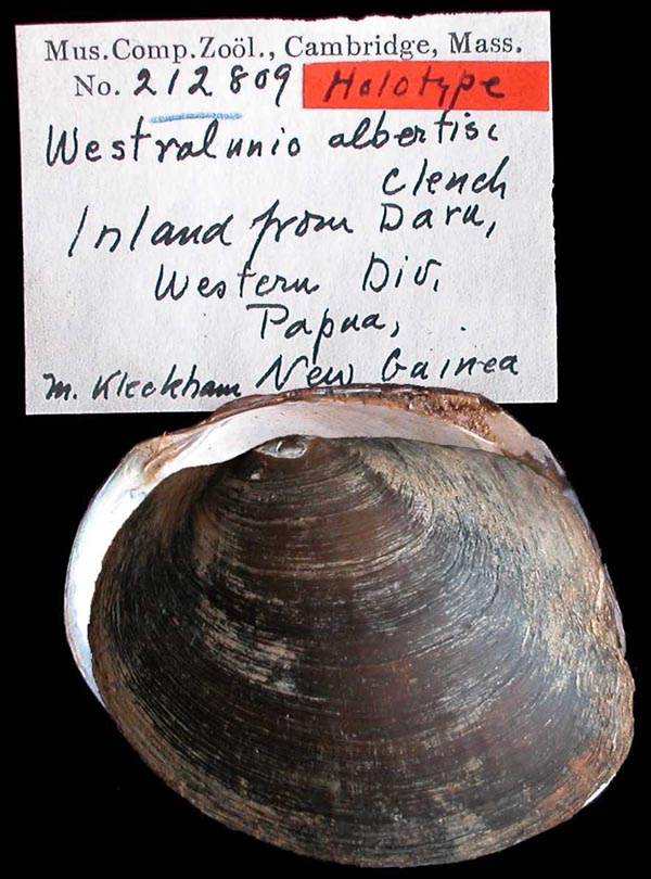 image of lot MCZ_212809