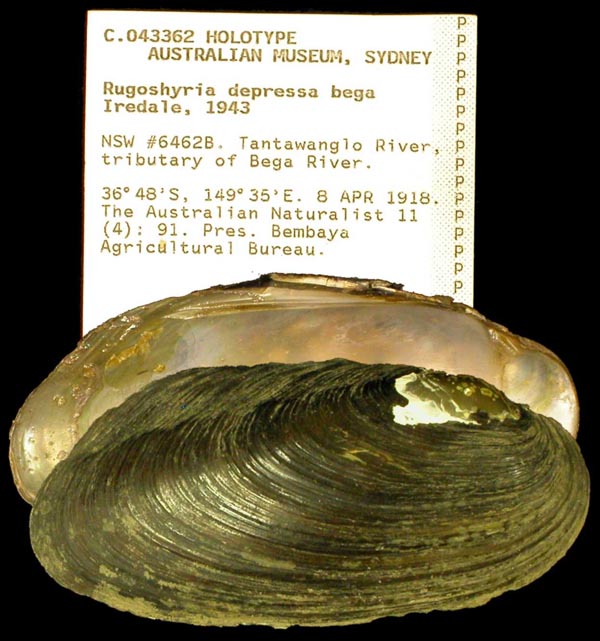 image of type lot