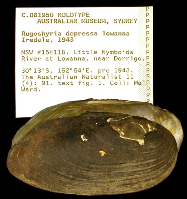 image of type lot