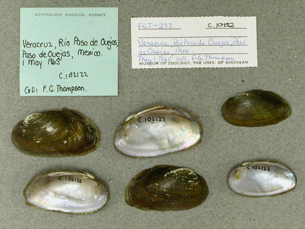 image of lot AMS_102122 image of lot AMS_102122