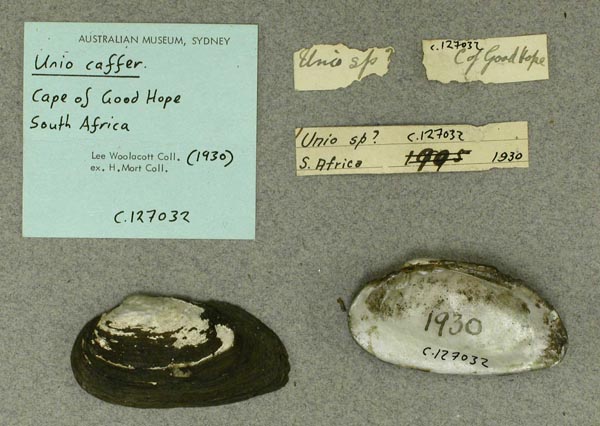 image of lot AMS_127032