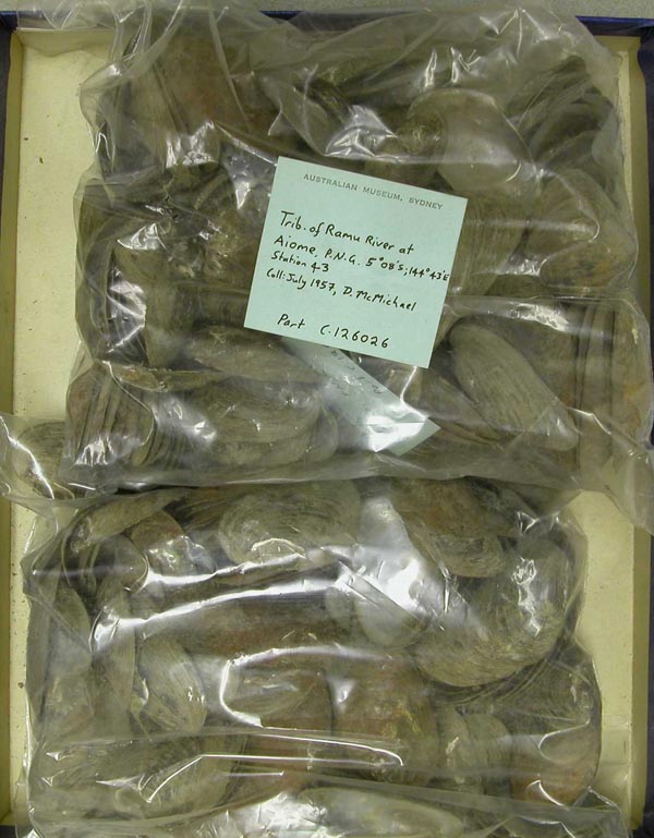 image of lot AMS_126026