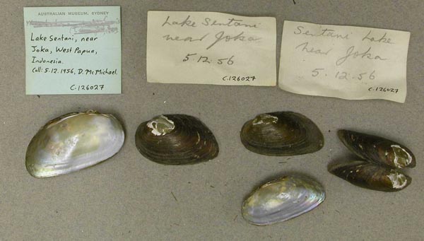 image of lot AMS_126027