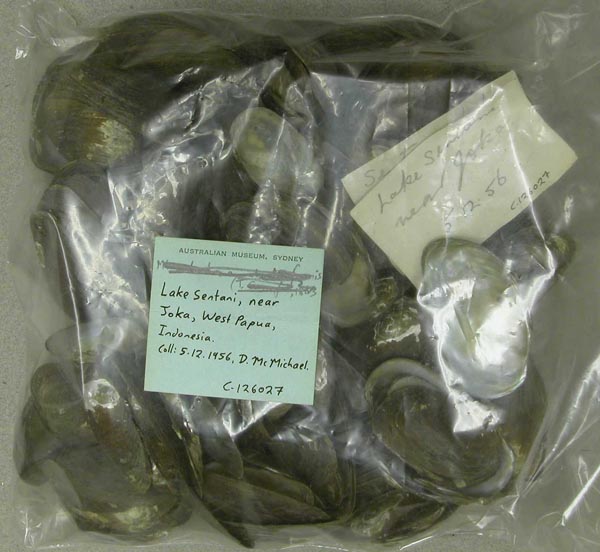 image of lot AMS_126027