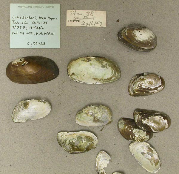 image of lot AMS_126028