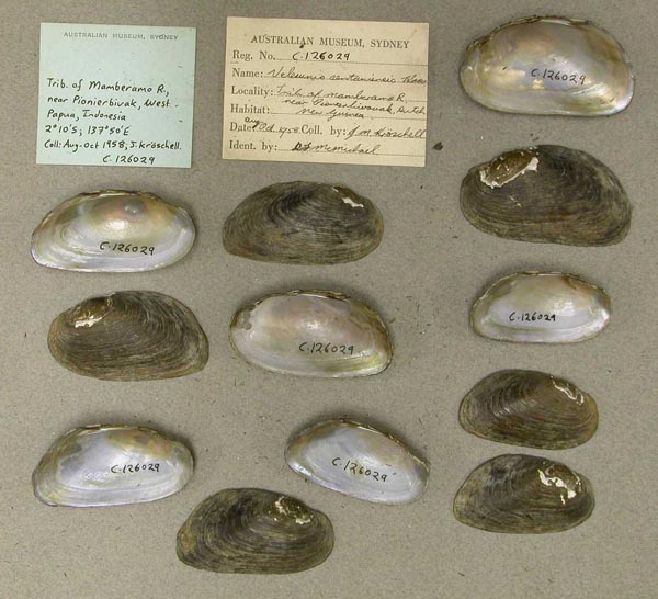 image of lot AMS_126029