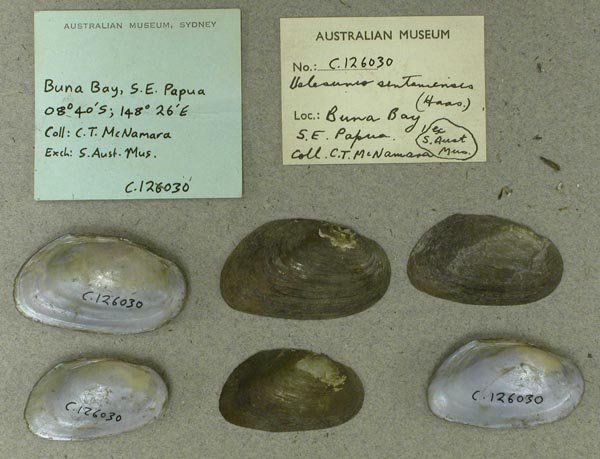 image of lot AMS_126030