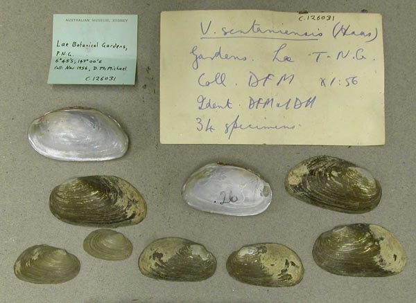 image of lot AMS_126031