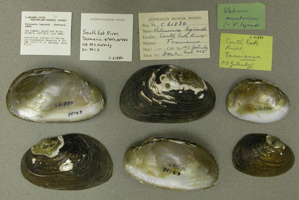 image of lot AMS_61880