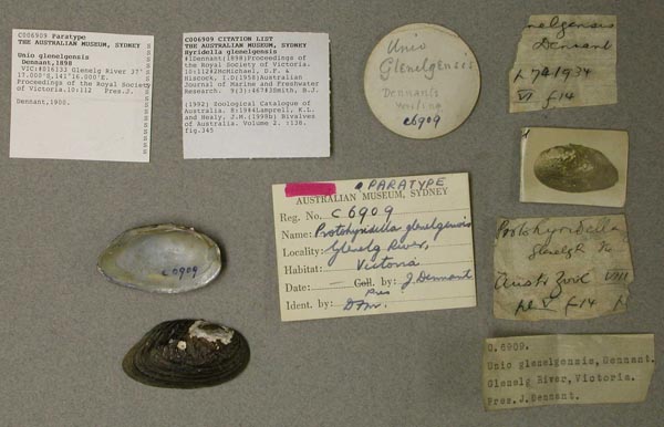 image of type lot
