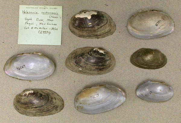 image of lot AMS_69394