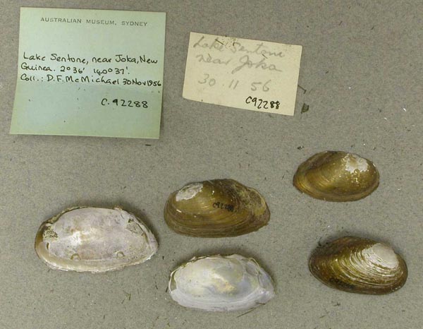 image of lot AMS_92288