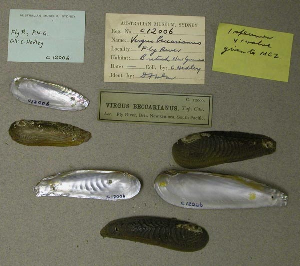 image of lot AMS_12006