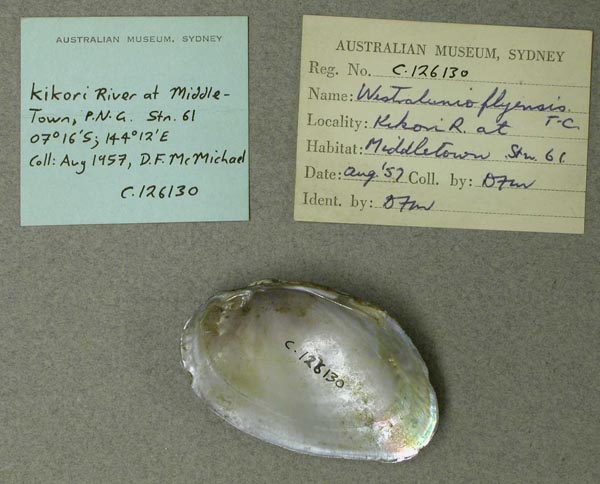 image of lot AMS_126130