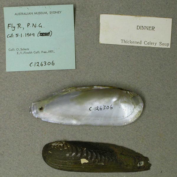 image of lot AMS_126306