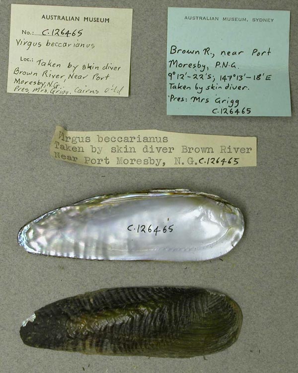 image of lot AMS_126465