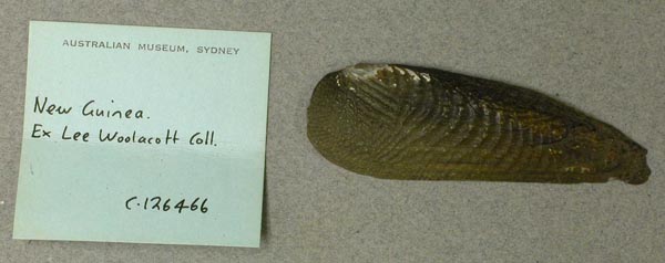 image of lot AMS_126466