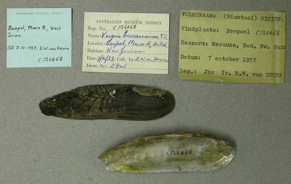 image of lot AMS_126468