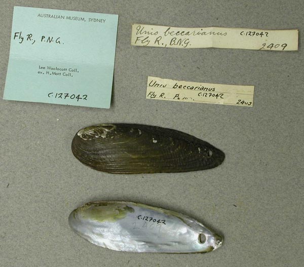 image of lot AMS_127042