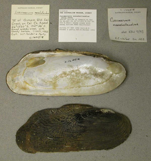 image of lot AMS_140518