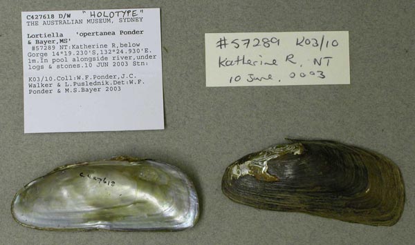 image of lot AMS_427618