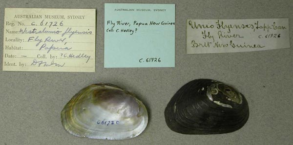 image of lot AMS_61726