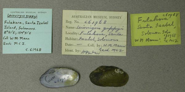 image of lot AMS_61968